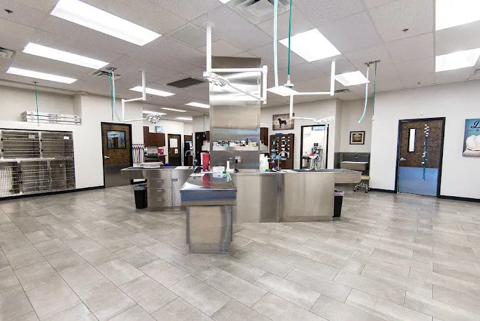 Val Vista Animal Hospital Picture 2