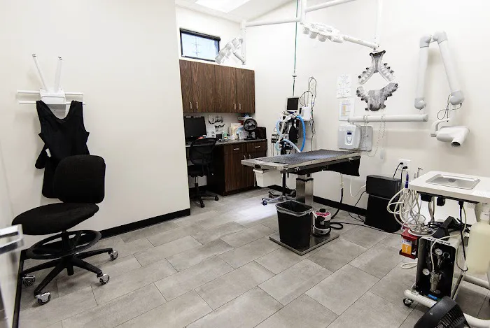 Val Vista Animal Hospital Picture 5