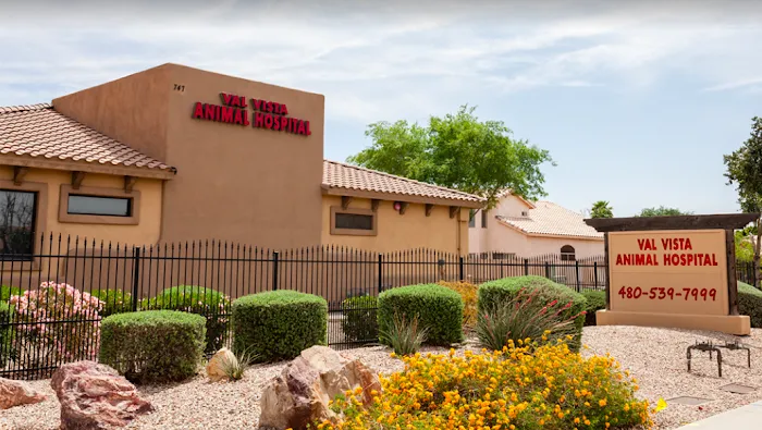 Val Vista Animal Hospital Picture 9