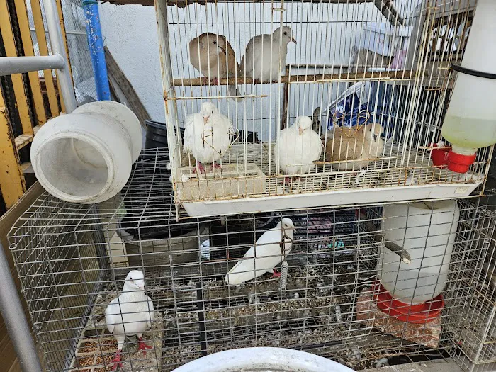 Oxnard Seed & Feed Picture 4