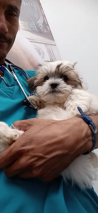 Dr Carr's Pet Repair Picture 1