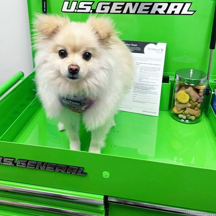 Dr Carr's Pet Repair Picture 7