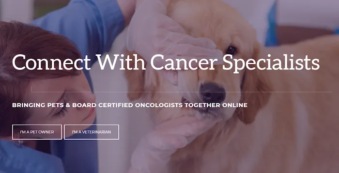 Pet Cancer Care Consulting Picture 1