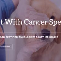 Pet Cancer Care Consulting ico