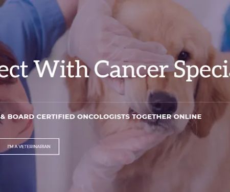 Pet Cancer Care Consulting