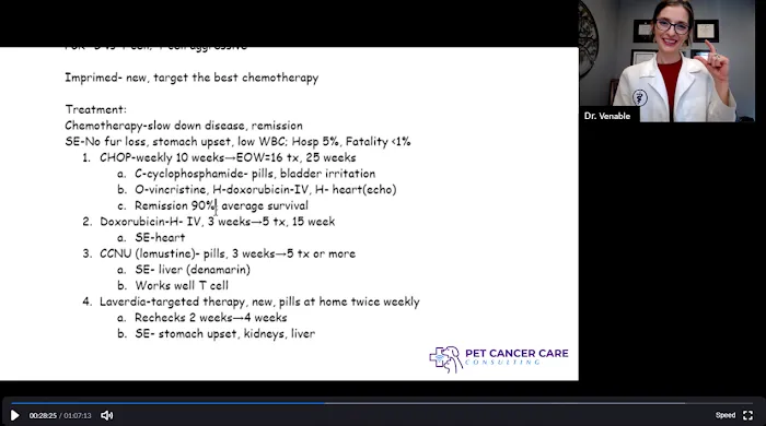 Pet Cancer Care Consulting Picture 5