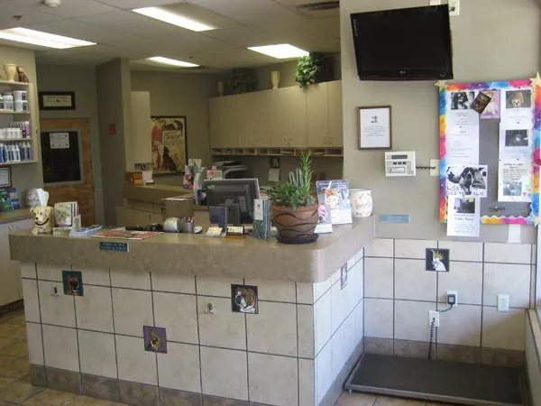 DC Ranch Animal Hospital Picture 8