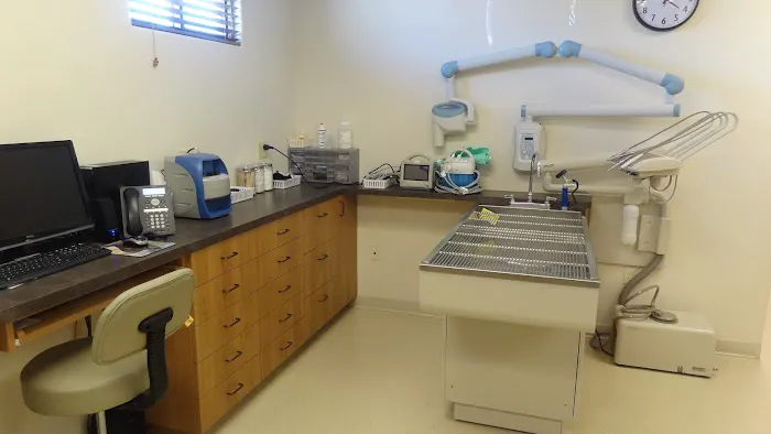 El Dorado Animal Hospital Picture 3