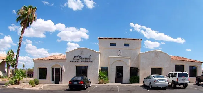 El Dorado Animal Hospital Picture 5