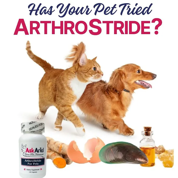 Ask Ariel Your Pet Nutritionist Picture 4