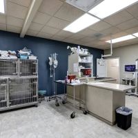 Friendship Pet Hospital ico