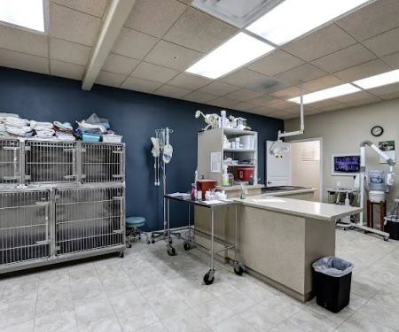 Friendship Pet Hospital