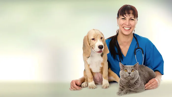Friendship Pet Hospital Picture 10