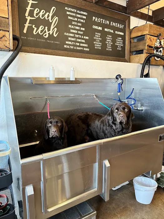 Dog Tub Picture 8