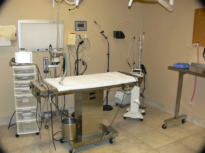 Fountain Hills Veterinary Hospital - NOW MERGED WITH BARK AVENUE ANIMAL HOSPITAL Picture 8