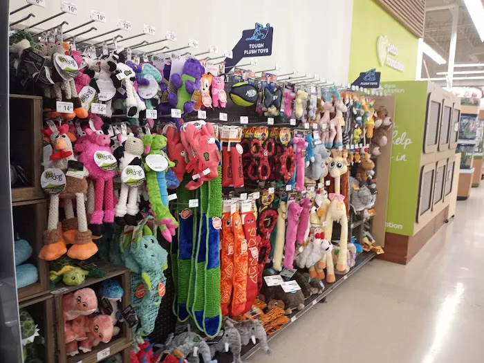Petco Picture 3