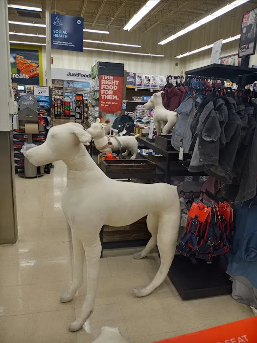 Petco Picture 2