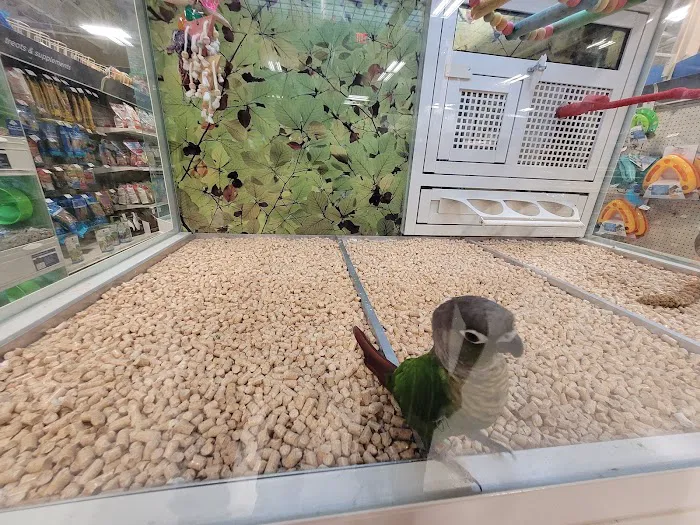Petco Picture 4