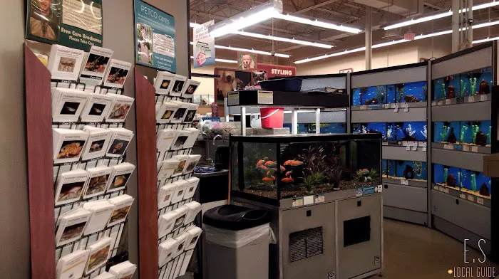 Petco Picture 7