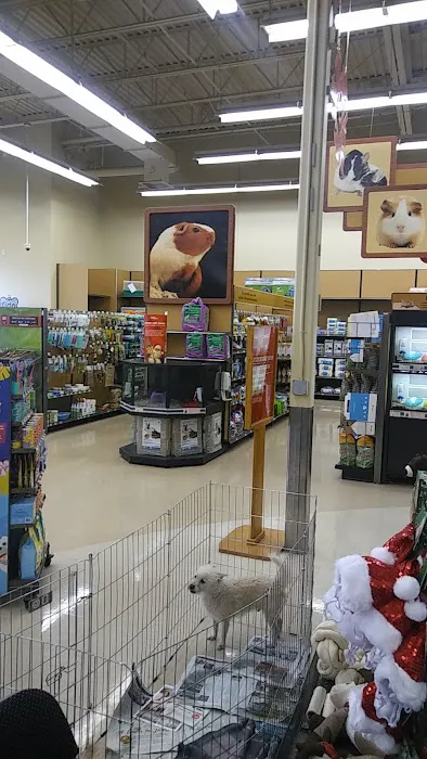 Petco Picture 9