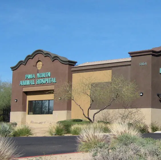 Pima North Animal Hospital Picture 10