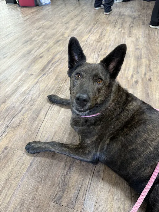 Trusted Paws Veterinary Clinic Picture 2