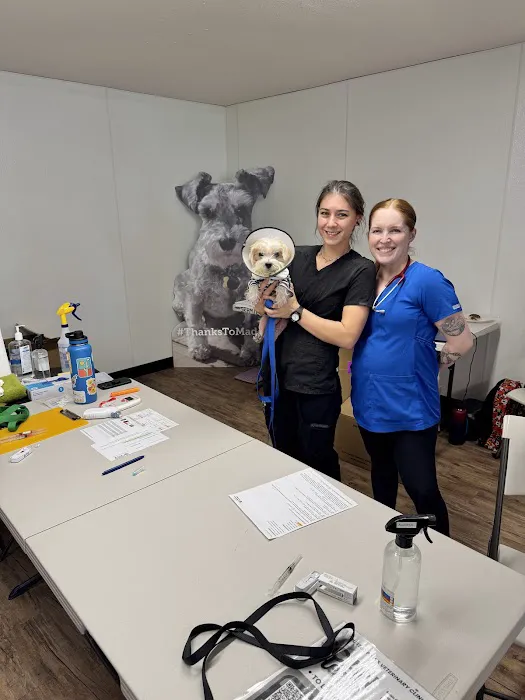 Trusted Paws Veterinary Clinic Picture 4
