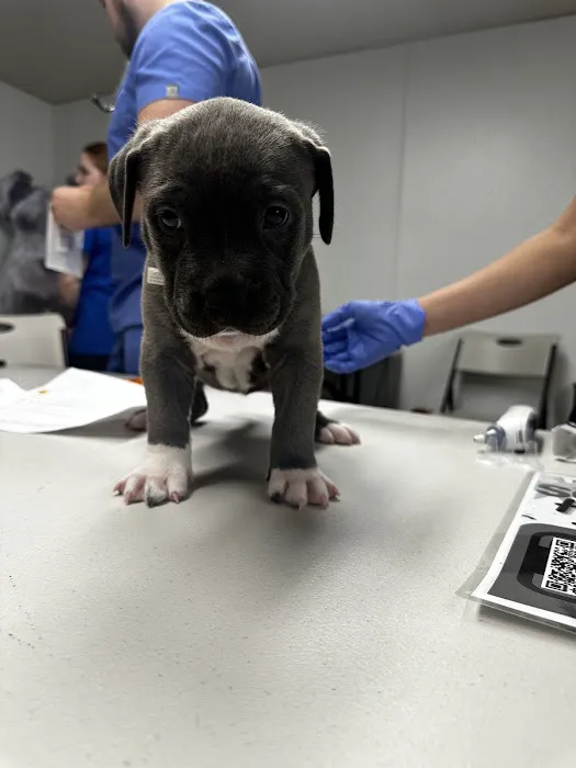 Trusted Paws Veterinary Clinic Picture 5
