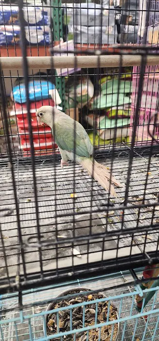 Gaby's pet shop Picture 3