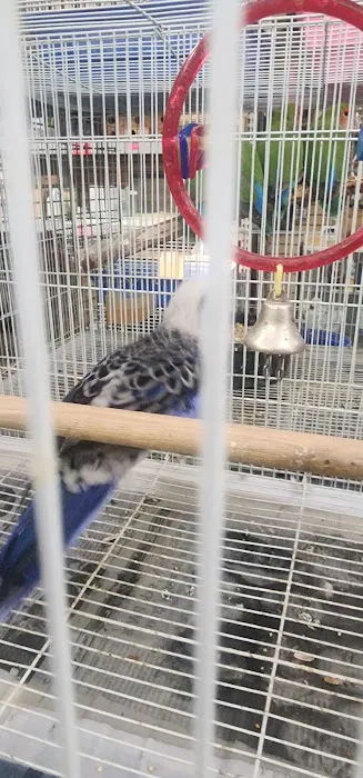 Gaby's pet shop Picture 4