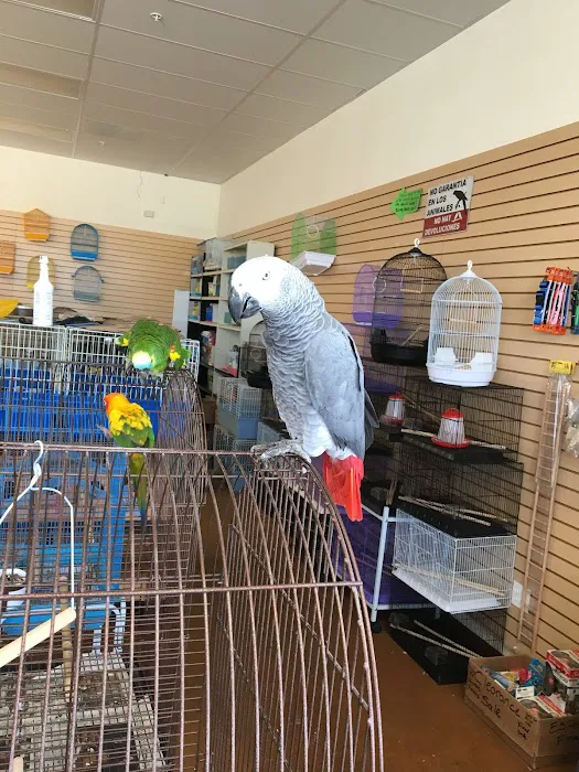 Gaby's pet shop Picture 2