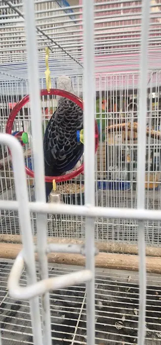 Gaby's pet shop Picture 7