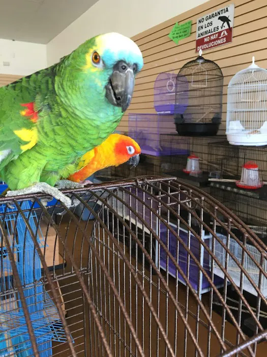 Gaby's pet shop Picture 5