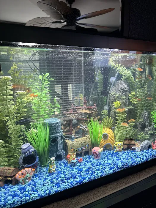 KMA Aquatic Pets Picture 9