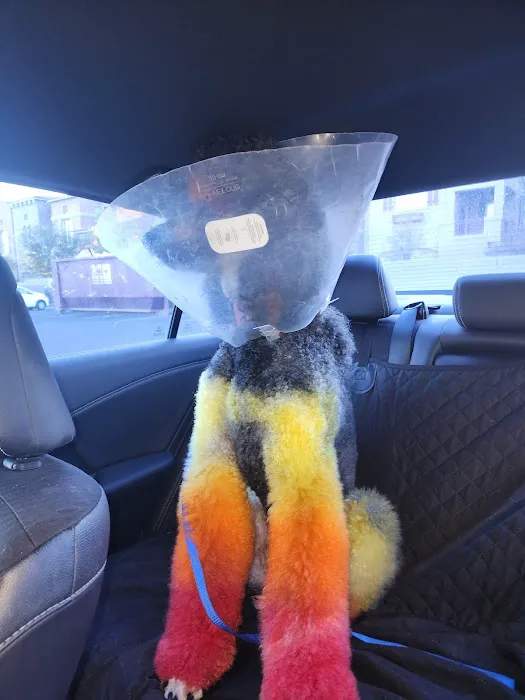 Superstition Animal Hospital Picture 3
