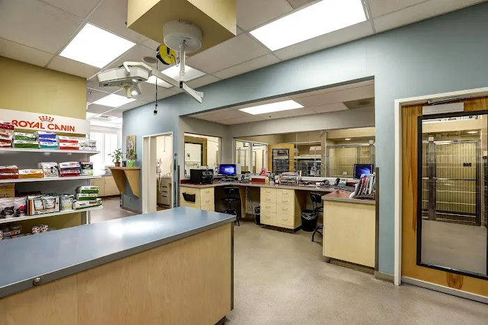 Higley Groves Animal Hospital Picture 4