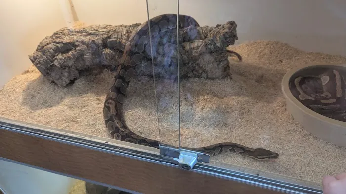 The Reptile Shop Picture 1