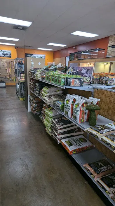 The Reptile Shop Picture 2