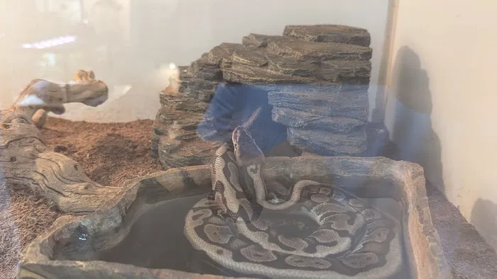 The Reptile Shop Picture 3