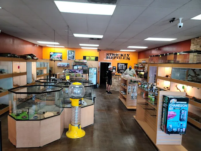 The Reptile Shop Picture 4