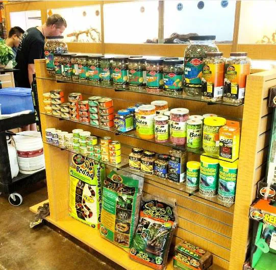 The Reptile Shop Picture 9