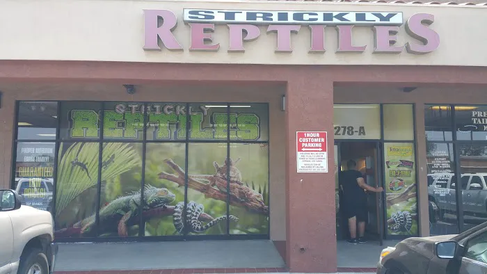 The Reptile Shop Picture 7