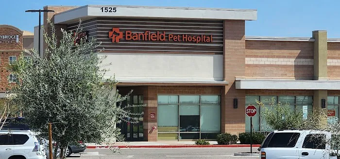 Banfield Pet Hospital Picture 1