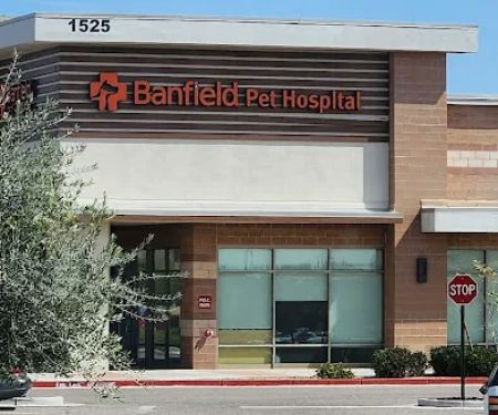 Banfield Pet Hospital