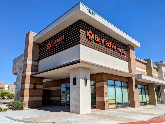 Banfield Pet Hospital Picture 2