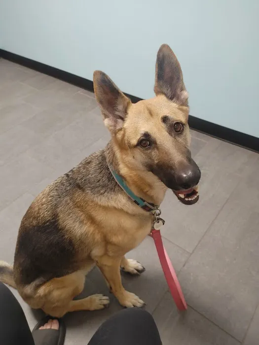Banfield Pet Hospital Picture 3