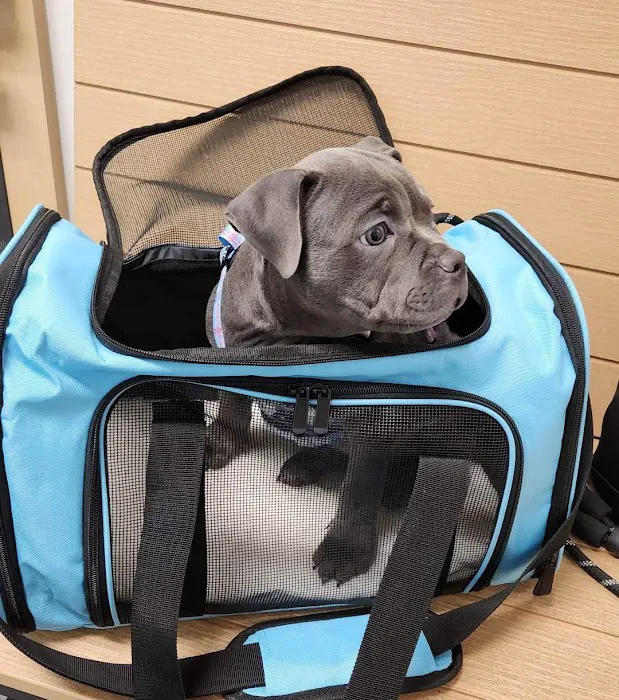 Banfield Pet Hospital Picture 7
