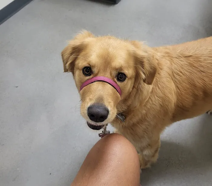 Vetco Total Care Animal Hospital Picture 4