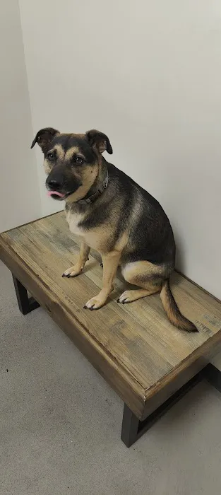 Vetco Total Care Animal Hospital Picture 6