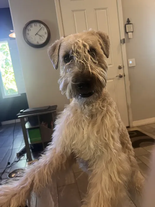 Vetco Total Care Animal Hospital Picture 1
